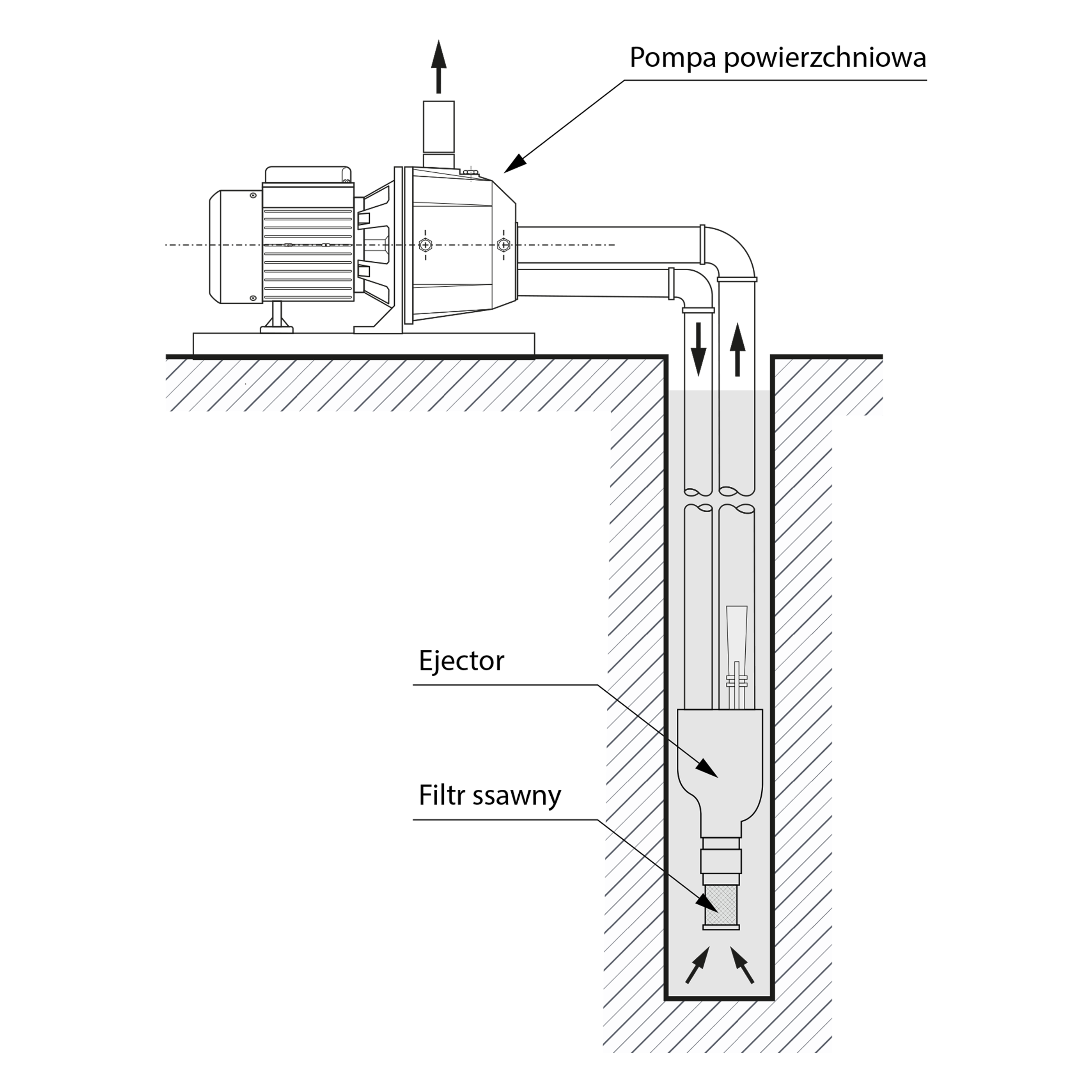 DP 370 (0,37 kW, 230 V) Hydrophorpumpe DP 355 (1,1 kW, 230 V) Hydrophorpumpe